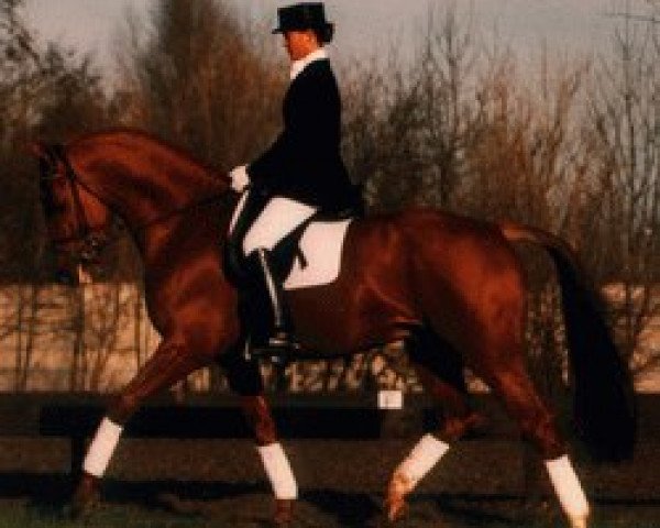 stallion Fair Play (KWPN (Royal Dutch Sporthorse), 1987, from Ulft)