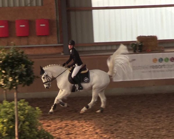 Reitturnier Damp-Dorotheental 2019