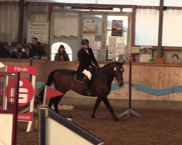 Reitturnier Damp-Dorotheental 2019