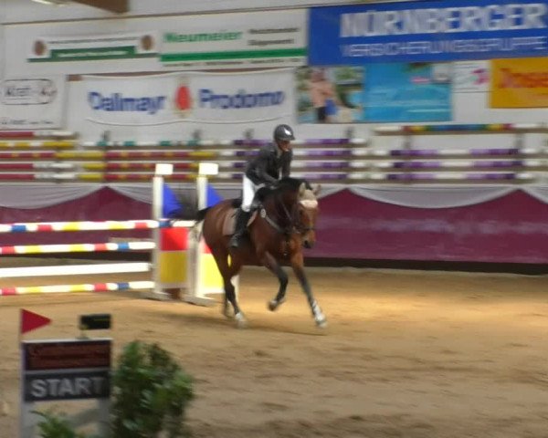 Reitturnier Eicherloh RH Laurent/Obb. 2019