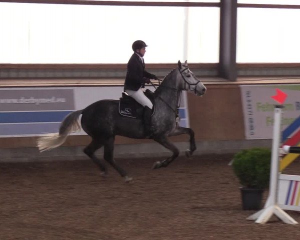 Reitturnier Damp-Dorotheental 2019