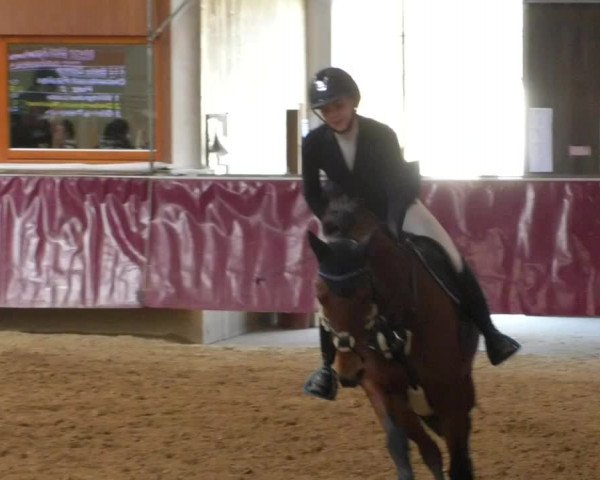 Reitturnier Eicherloh RH Laurent/Obb. 2019