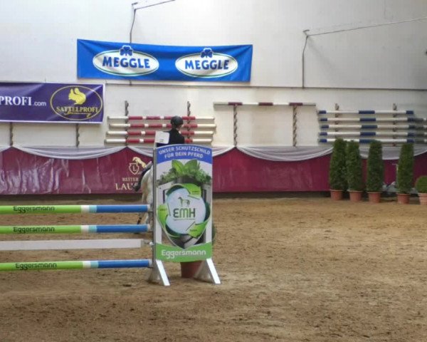 Reitturnier Eicherloh RH Laurent/Obb. 2019