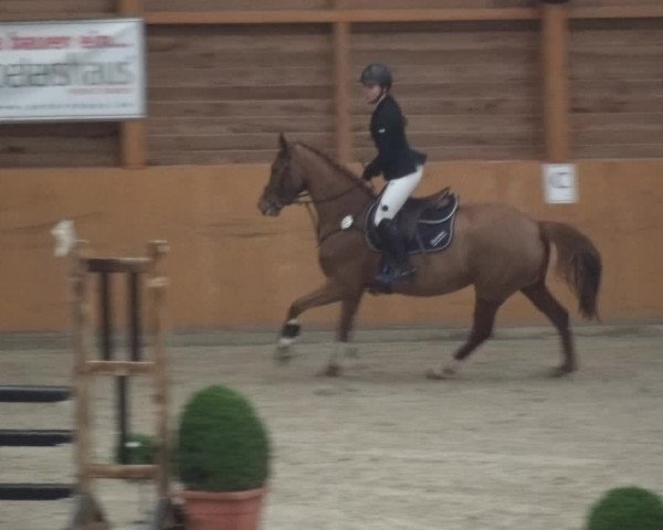 Reitturnier Xanten 2019