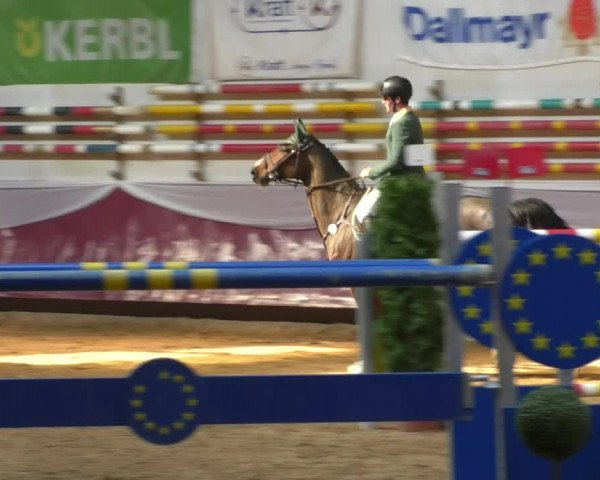 Reitturnier Eicherloh RH Laurent/Obb. 2019