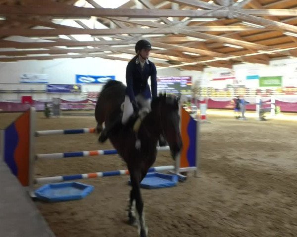 Reitturnier Eicherloh RH Laurent/Obb. 2019