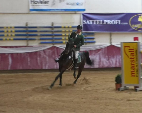 Reitturnier Eicherloh RH Laurent/Obb. 2019