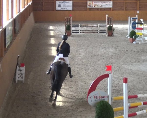 Reitturnier Xanten 2019