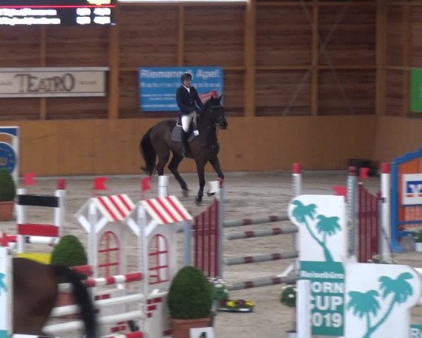 Reitturnier Xanten 2019