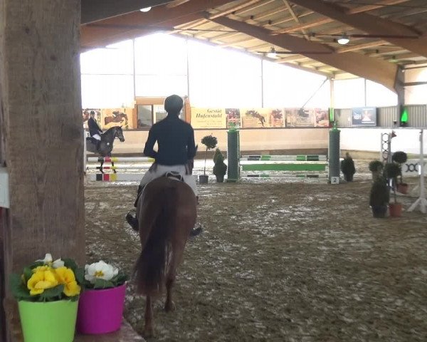 Reitturnier Lindlar-Süttenbach 2019