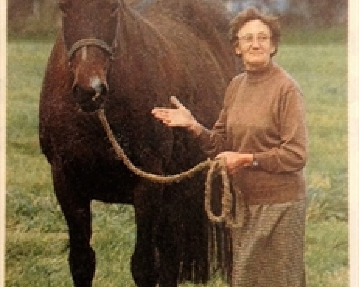 Zuchtstute Opaline Platiere (Selle Français, 1980, von Quastor)