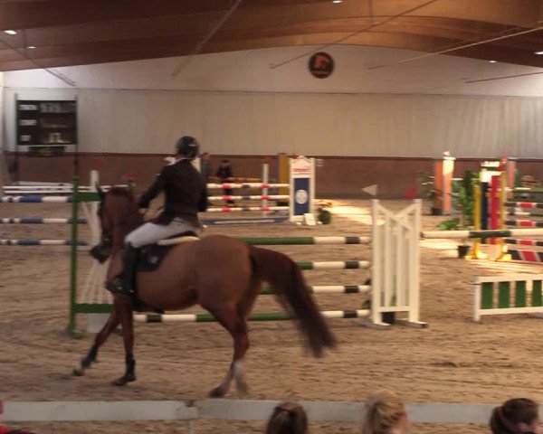 Reitturnier Lentzke - Reitanlage Krehl 2019