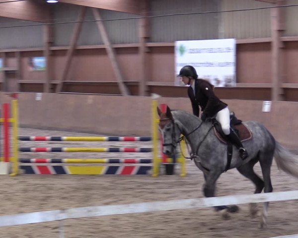 Reitturnier Lentzke - Reitanlage Krehl 2019