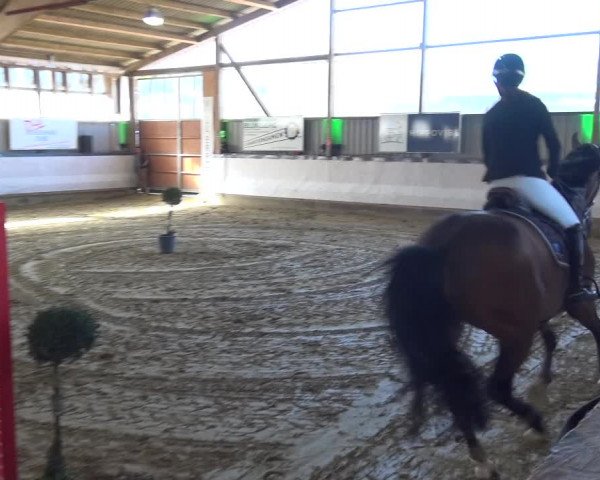 Reitturnier Lindlar-Süttenbach 2019