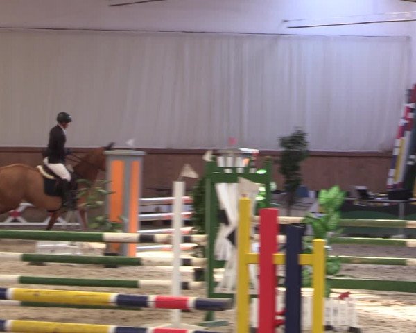 Reitturnier Lentzke - Reitanlage Krehl 2019