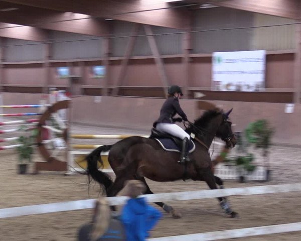 Reitturnier Lentzke - Reitanlage Krehl 2019