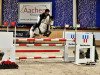 Springpferd Mister Twister 6 (Deutsches Reitpony, 2014, von The Braes My Mobility)