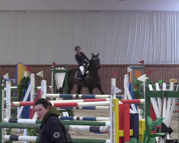 Reitturnier Lentzke - Reitanlage Krehl 2019