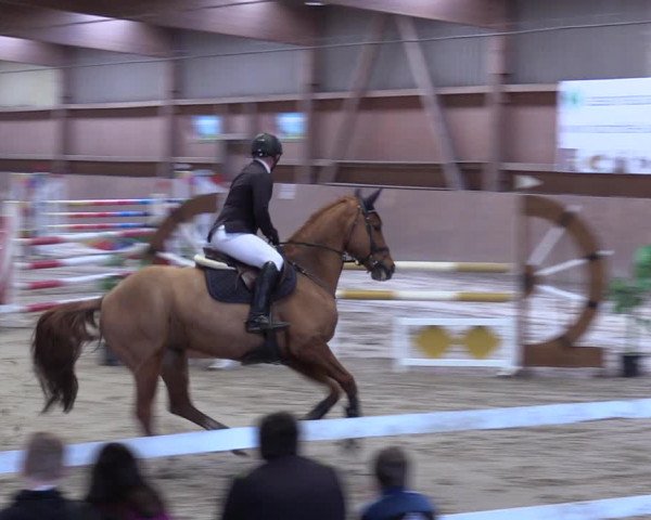 Reitturnier Lentzke - Reitanlage Krehl 2019