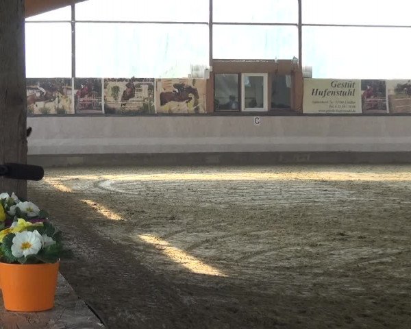 Reitturnier Lindlar-Süttenbach 2019