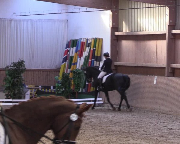 Reitturnier Lentzke - Reitanlage Krehl 2019