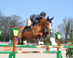 broodmare Olga Platiere (Selle Français, 2002, from Fétiche du Pas)