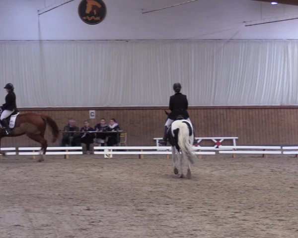 Reitturnier Lentzke - Reitanlage Krehl 2019