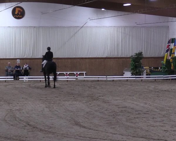 Reitturnier Lentzke - Reitanlage Krehl 2019