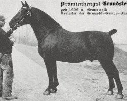 stallion Grundstein 3475 (Oldenburg, 1929, from Grunewald 3438)