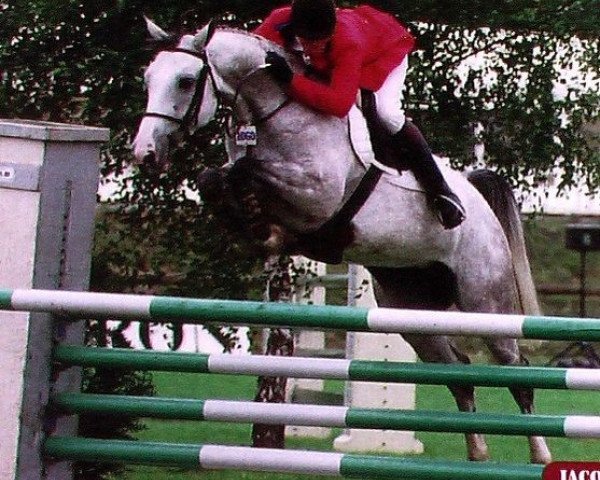 broodmare Chouya de Gerdi (Selle Français, 1990, from Kalem ox)