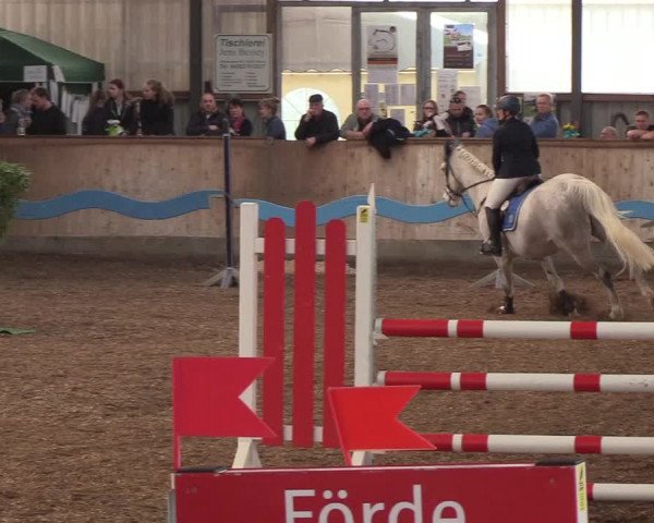 Reitturnier Damp-Dorotheental 2019