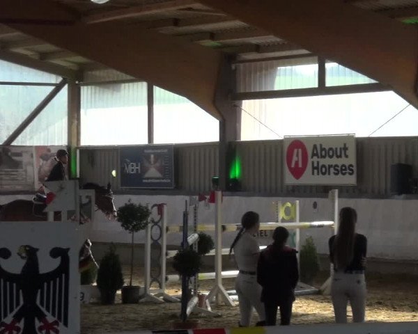 Reitturnier Lindlar-Süttenbach 2019