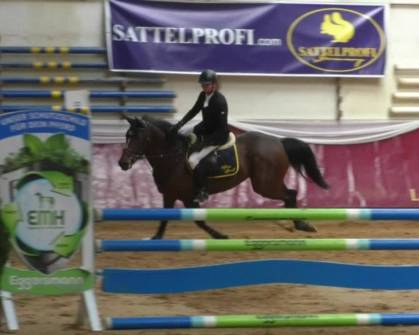 Reitturnier Eicherloh RH Laurent/Obb. 2019