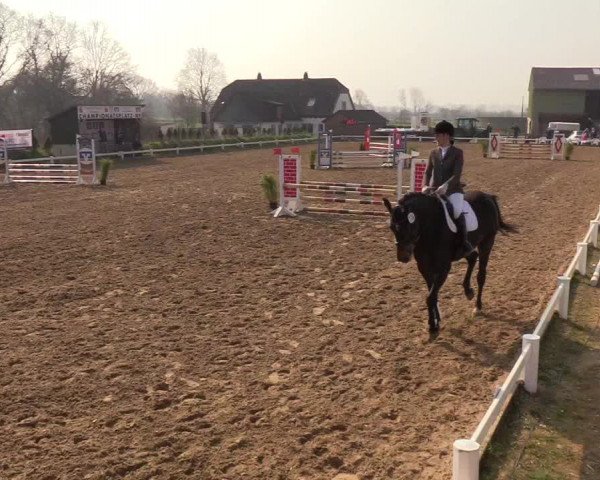 Reitturnier Behrendorf 2019