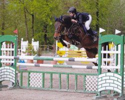 Zuchtstute Doriane des Baumes (Schweizer Warmblut, 2000, von Jabot)