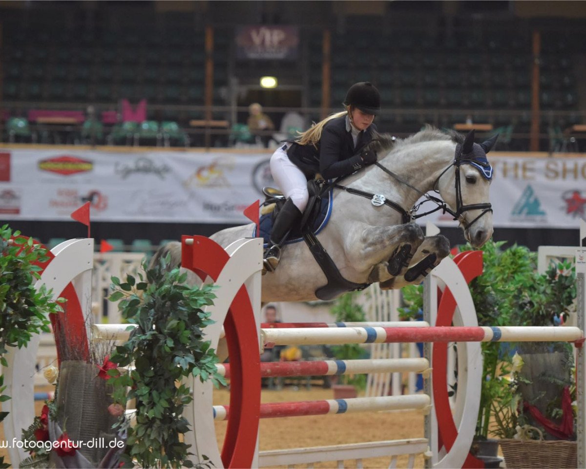 broodmare Dee Dee 3 (KWPN (Royal Dutch Sporthorse), 2008, from Douglas)