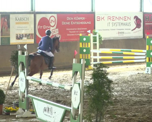 Reitturnier Jüchen-Waat 2019