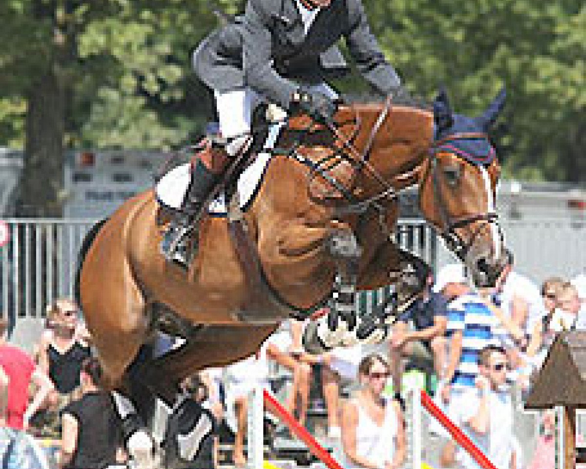 jumper Quilano de Kreisker (Selle Français, 2004, from Kannan)
