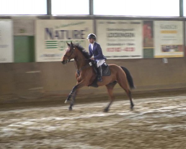 Reitturnier Jüchen-Waat 2019