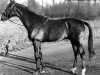 stallion Carioca II (FR) (French Trotter, 1946, from Mousko Williams (FR))