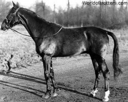 Deckhengst Carioca II (FR) (Französischer Traber, 1946, von Mousko Williams (FR))