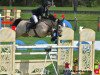 jumper Shirsheen Cruiser (Irish Sport Horse, 2009)