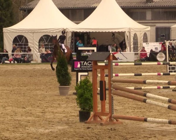 Reitturnier Bottrop 2019