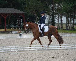 dressage horse Graf George S (Hanoverian, 2009, from Grand Cru)