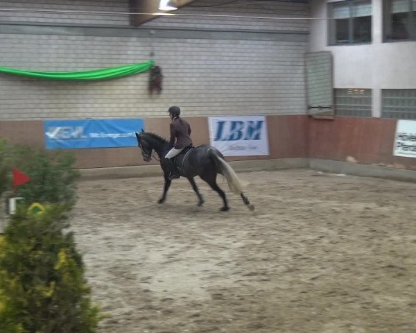 Reitturnier Leverkusen-Rheindorf 2019