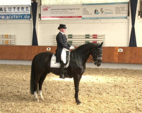Reitturnier Bottrop 2019