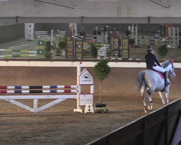 Reitturnier Jüchen-Waat 2019