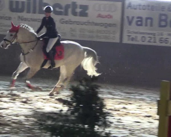 Reitturnier Jüchen-Waat 2019