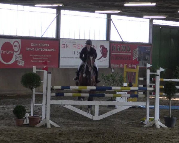 Reitturnier Jüchen-Waat 2019