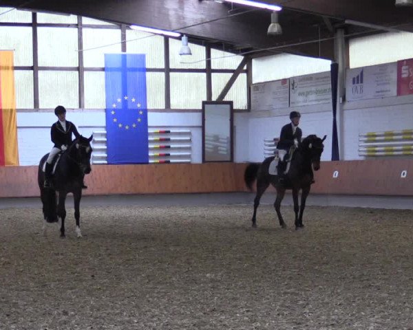 Reitturnier Bottrop 2019